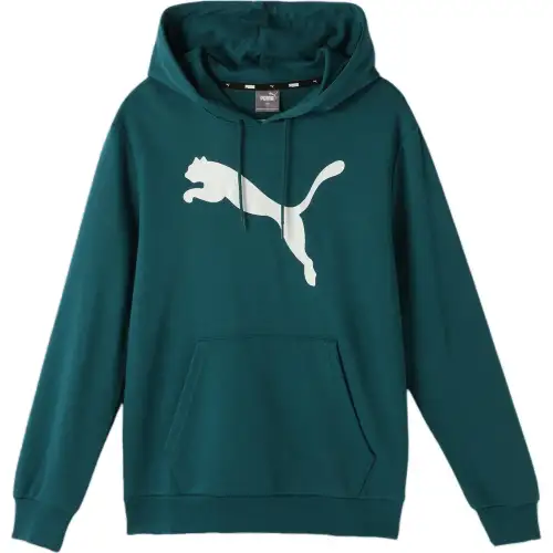 PUMA Sweatshirt Men's Cold Light Green