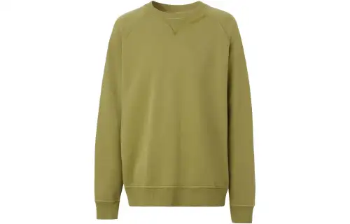 Burberry FW22 Sweatshirt Men's Green