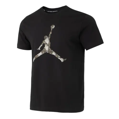 JORDAN Sport Men's Dri FIT T Shirt