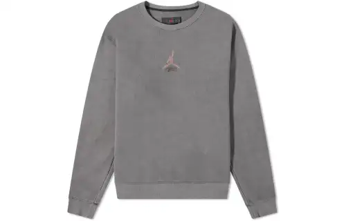 Jordan Sweatshirts Men's Gray Crew Neck Moderate Regular