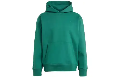 Adidas Originals Sweatshirts Men's Green Hooded Moderate Regular