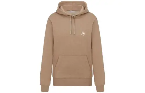 DIOR Sweatshirts Men's Brown Hooded Moderate Regular