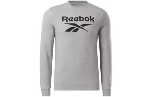 Reebok RI FT BL CREW Sweatshirt Men's Gray