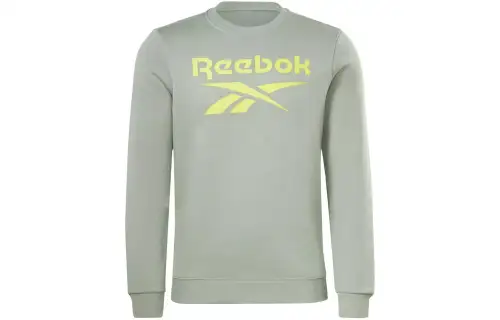 Reebok RI FLC BIG LOGO CREW Sweatshirt Men's Gray