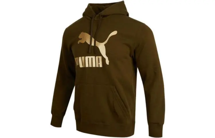 PUMA Sweatshirts Men's Brown Hooded Moderate Regular