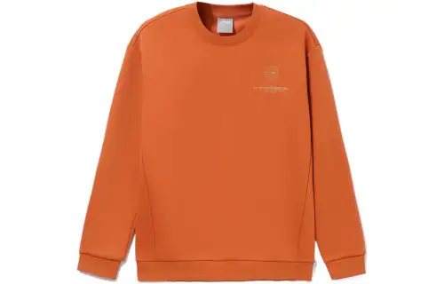 Li Ning Training Series Sweatshirt Men's Umber