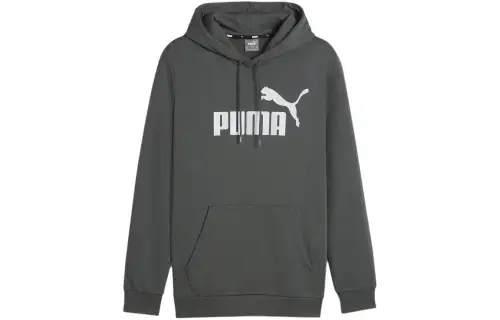 Puma Essentials Men's Hoodie