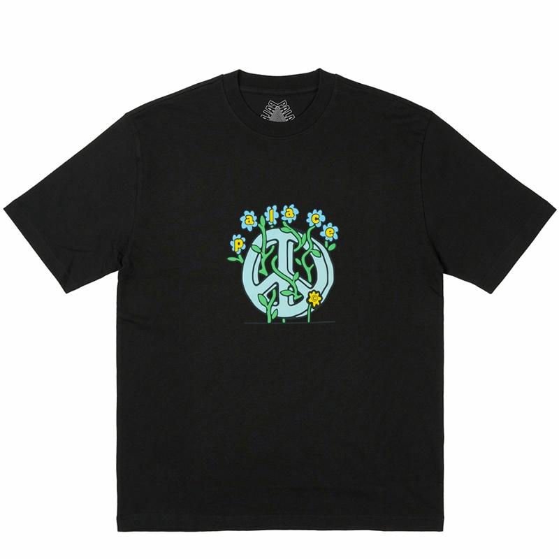 Футболка Palace PALACE SS24 GROWER (черная)