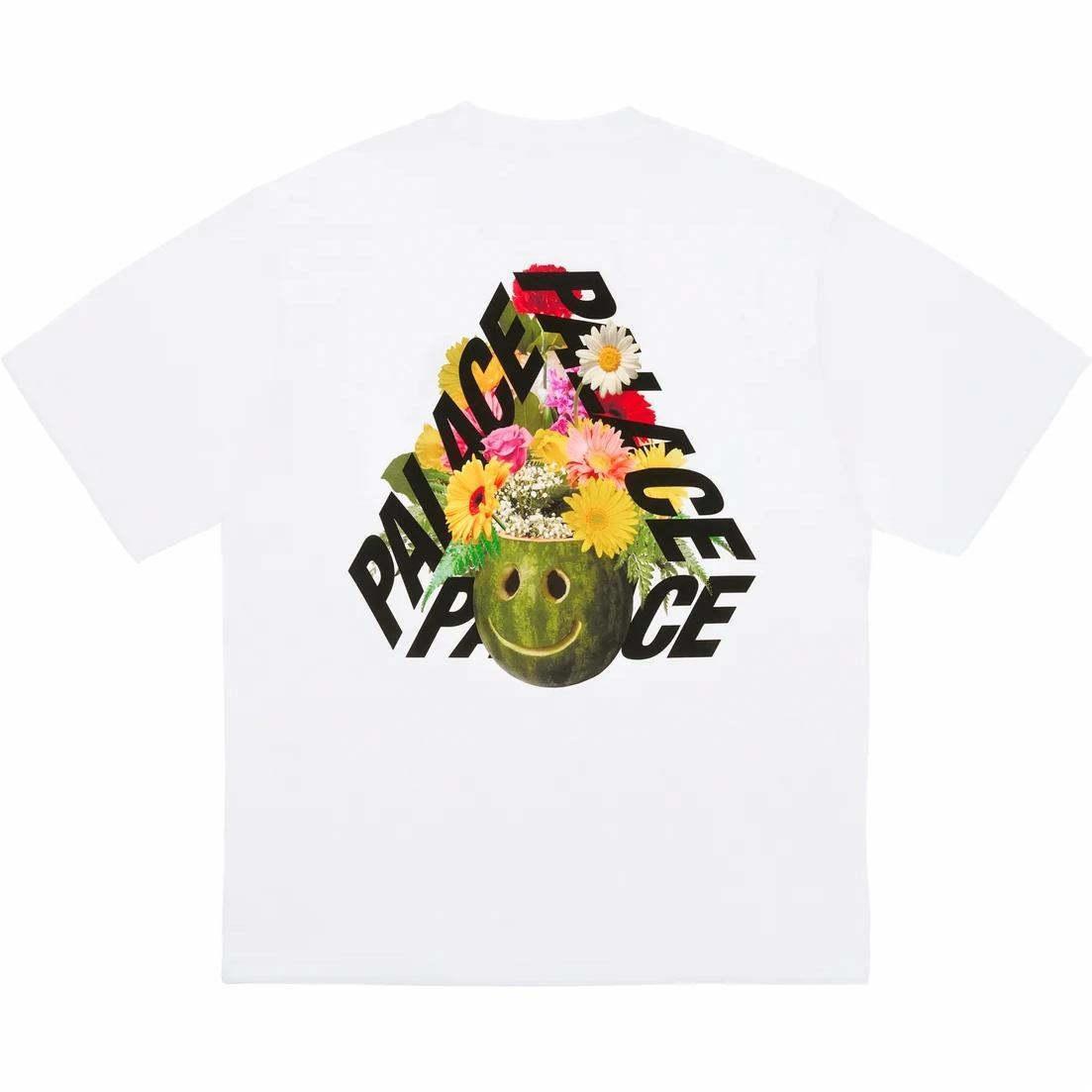 Футболка Palace PALACE FW24 (разноцветная)