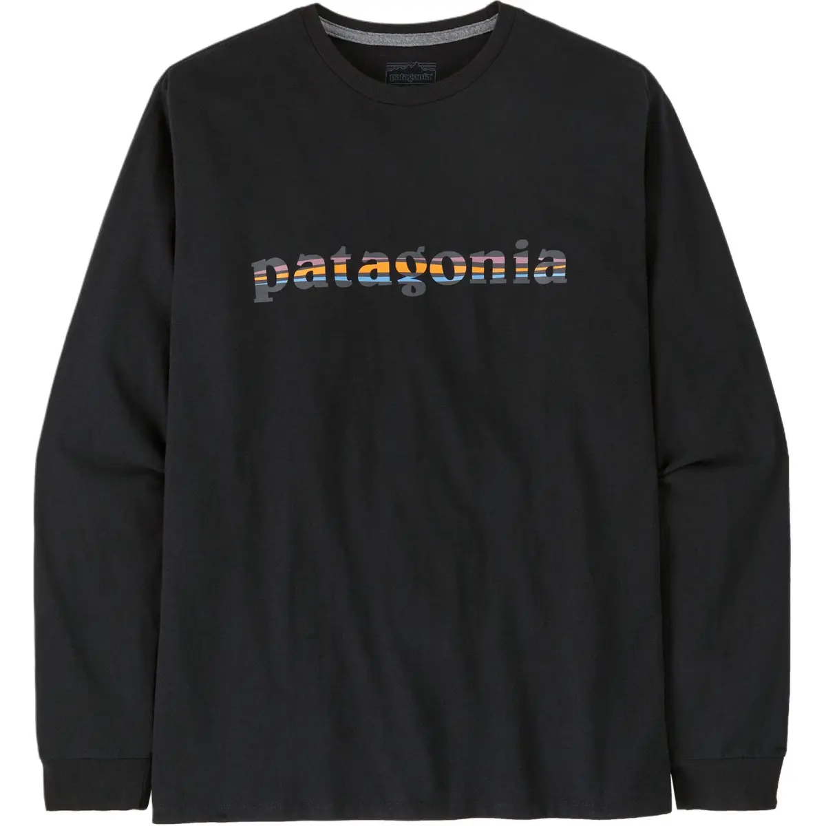 Patagonia Responsibili Tee T Shirt Men's