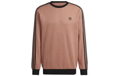 Adidas Originals Adidas Originals Sweatshirts Men's Umber Crew Neck Moderate Regular