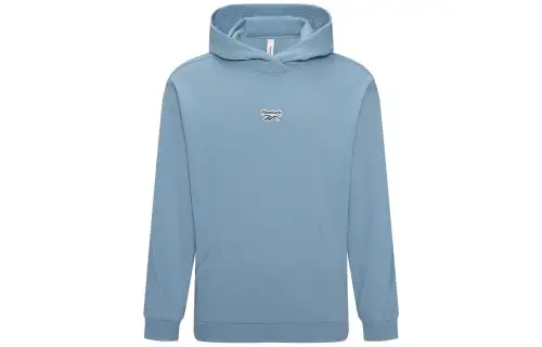 Reebok Sweatshirts Unisex Blue Hooded Moderate Regular
