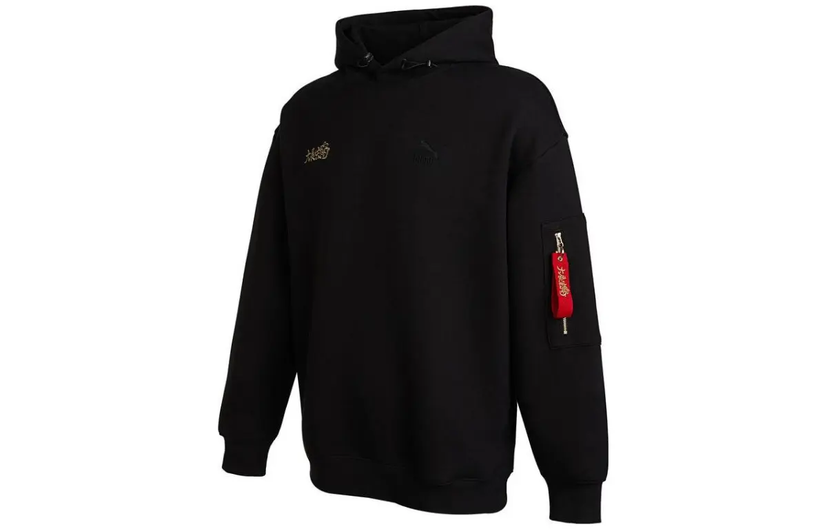 PUMA Sweatshirts Unisex Black Hooded Moderate Regular