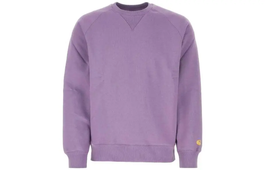 Carhartt WIP Sweatshirt Men's Purple