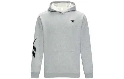 Reebok Sweatshirts Unisex Gray Hooded Moderate Regular