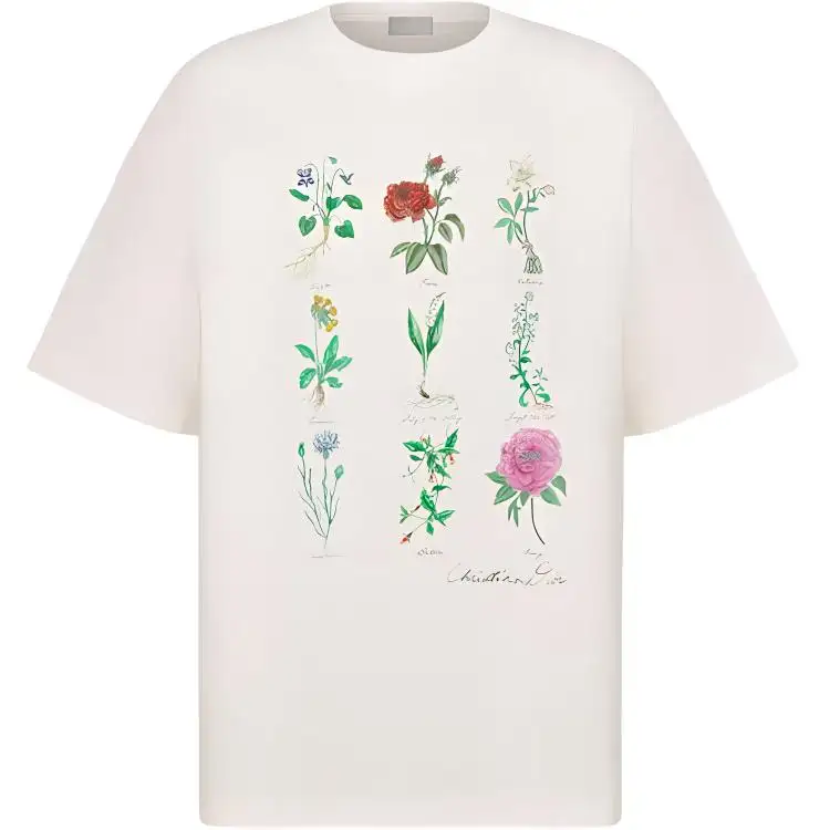 DIOR T Shirts Men's White Crew Neck Moderate Straight Fit