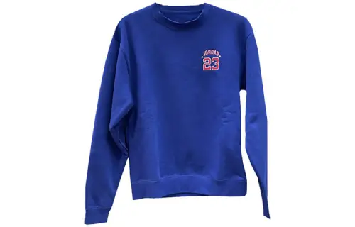 Jordan Sweatshirts Men's Blue Crew Neck Moderate Regular