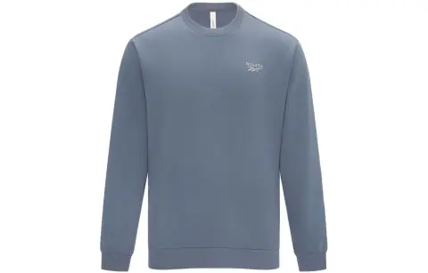 Reebok Sweatshirts Unisex Blue Gray Crew Neck Moderate Straight Fit