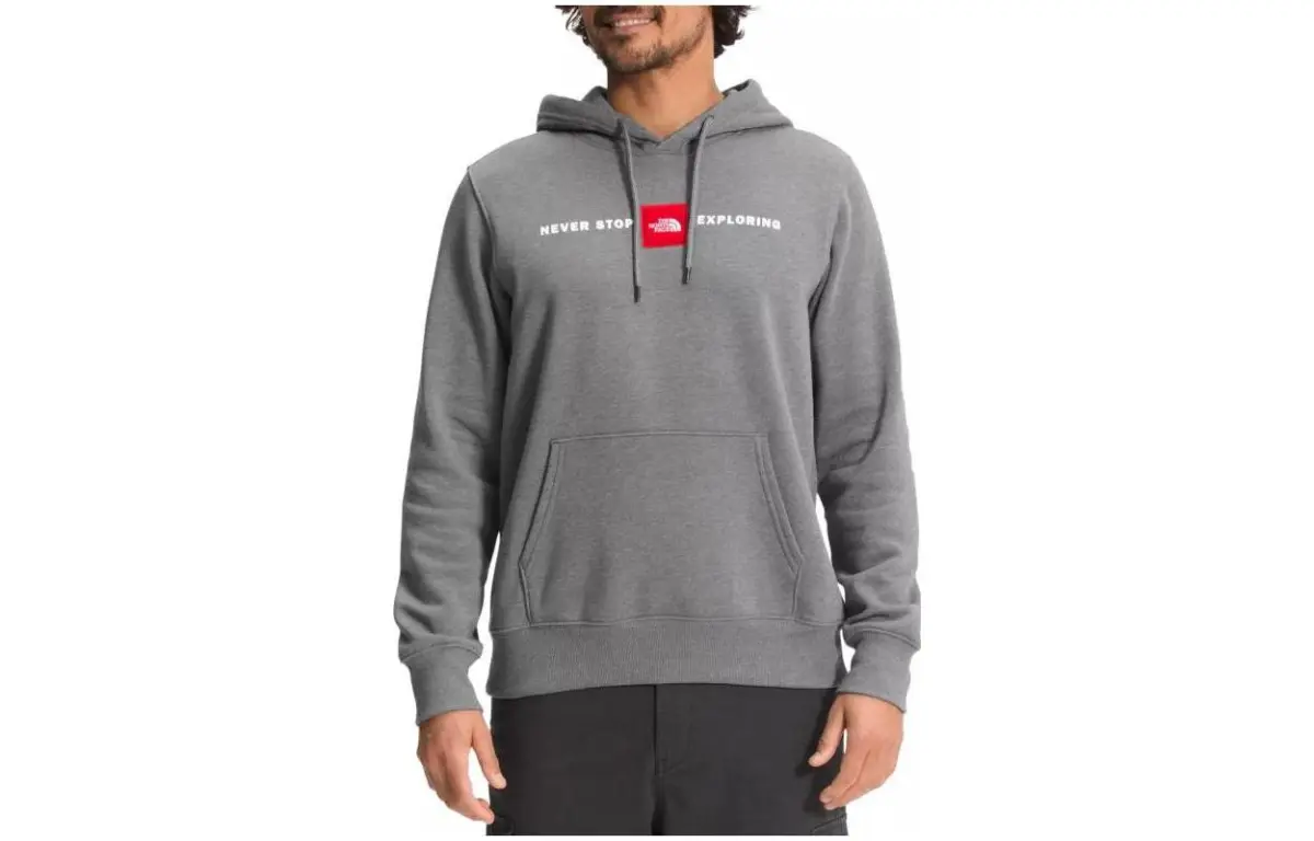 THE NORTH FACE Sweatshirts Men's Gray Hooded Moderate Regular