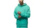 Jordan Sweatshirts Men's Peacock Green Hooded Moderate Regular