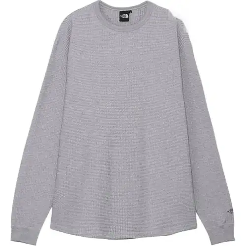 THE NORTH FACE T Shirt Men's Gray