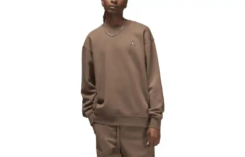 Jordan Sweatshirts Men's Brown Crew Neck Moderate Regular