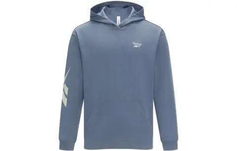 Reebok Sweatshirts Unisex Blue Hooded Moderate Regular