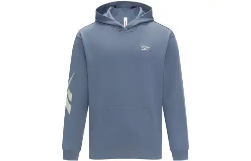 Reebok Sweatshirts Unisex Blue Hooded Moderate Regular