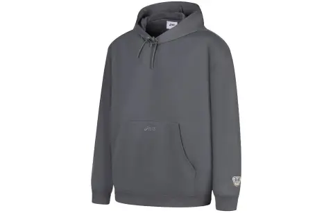 ASICS Sweatshirts Unisex Gray Hooded Moderate Regular