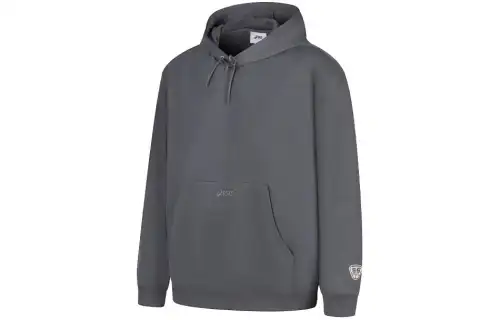 ASICS Sweatshirts Unisex Gray Hooded Moderate Regular