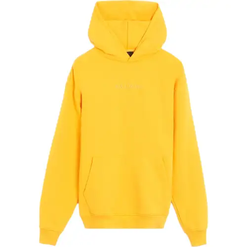 Jordan Sweatshirts Men's Yellow Hooded Moderate Regular
