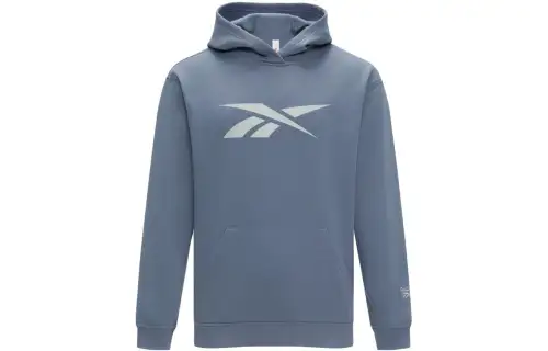 Reebok Sweatshirts Unisex Blue Hooded Moderate Regular