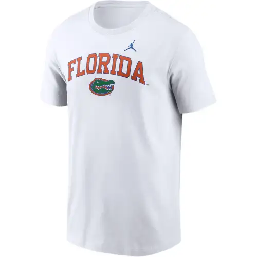 JORDAN Men's Nike College T-Shirt Florida Gators Blitz