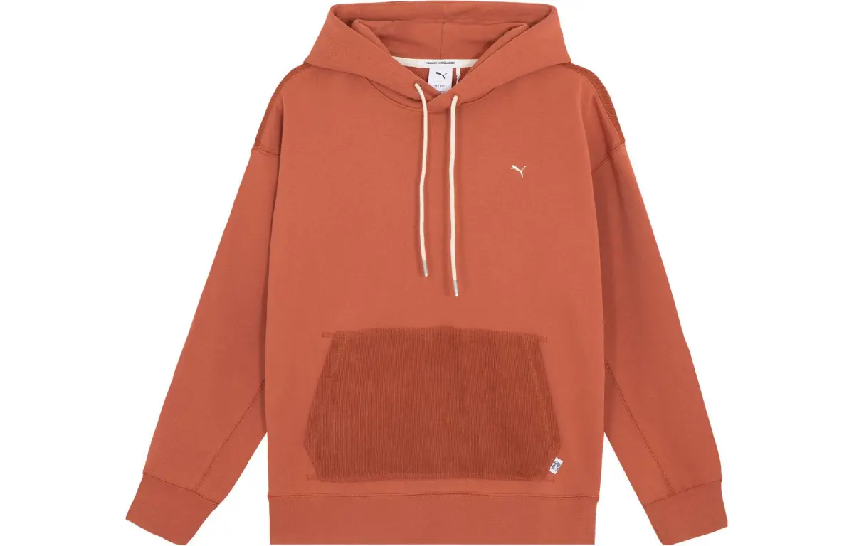 PUMA Sweatshirts Unisex Fruit Vinegar Brown Hooded Moderate Other