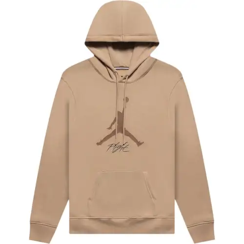 Jordan ESSENTIALS Sweatshirts Men's Khaki Hooded Moderate Regular