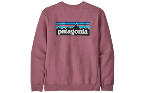 Patagonia Organic Sweatshirts Men's Crew Neck Moderate