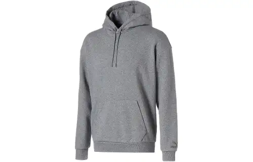 PUMA Sweatshirts Unisex Gray Hooded Moderate Other