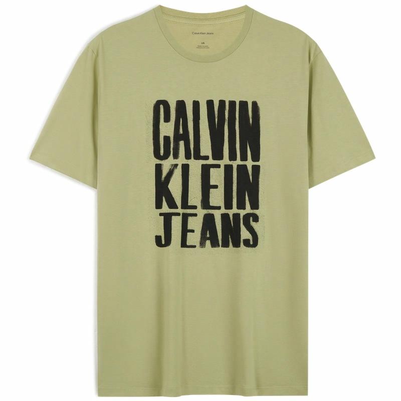 Мужская футболка CALVIN KLEIN Jeans (белая)