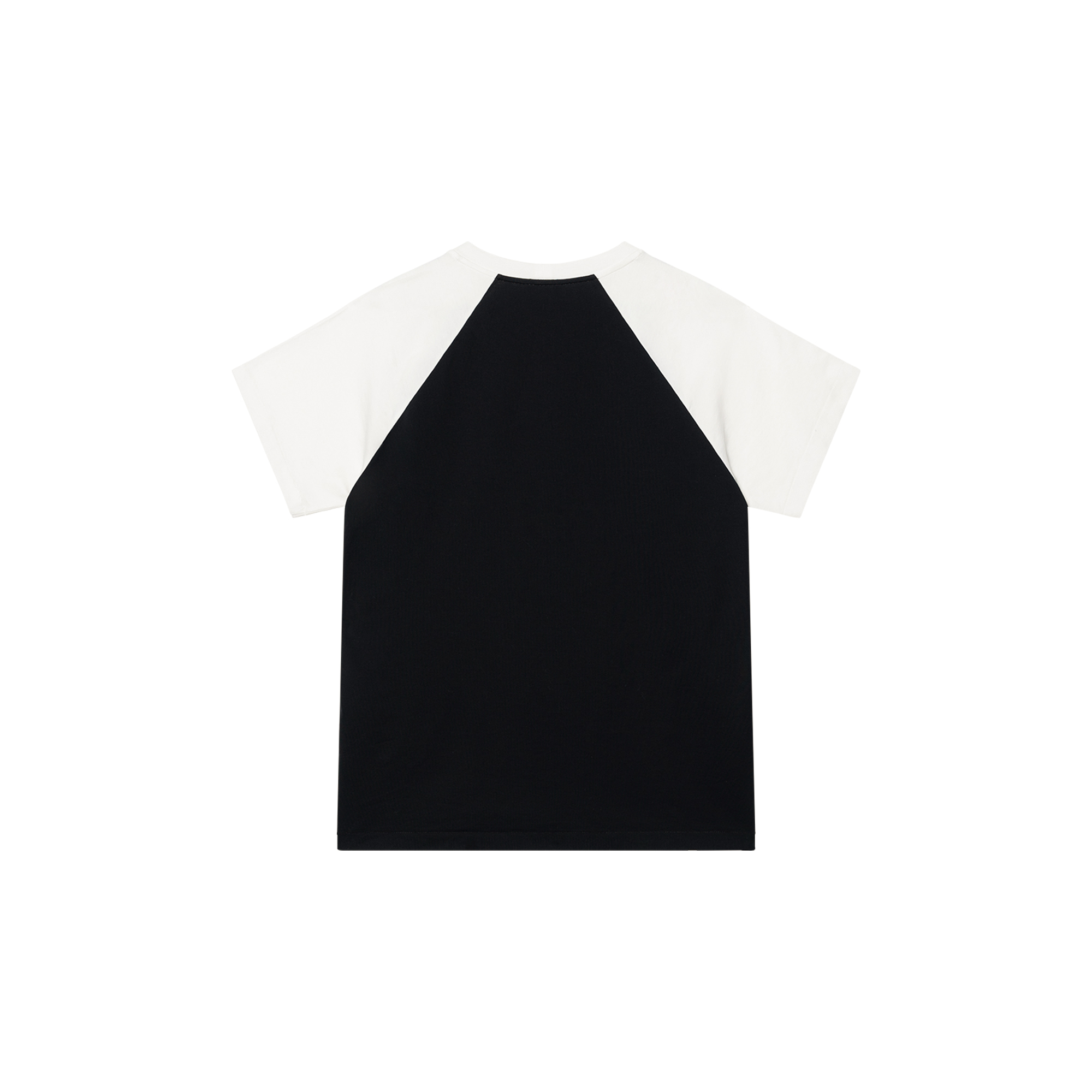 Мужская футболка CELINE T (черная) — Черный — фото 2