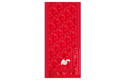 DIOR Knit Scarves Women's Red