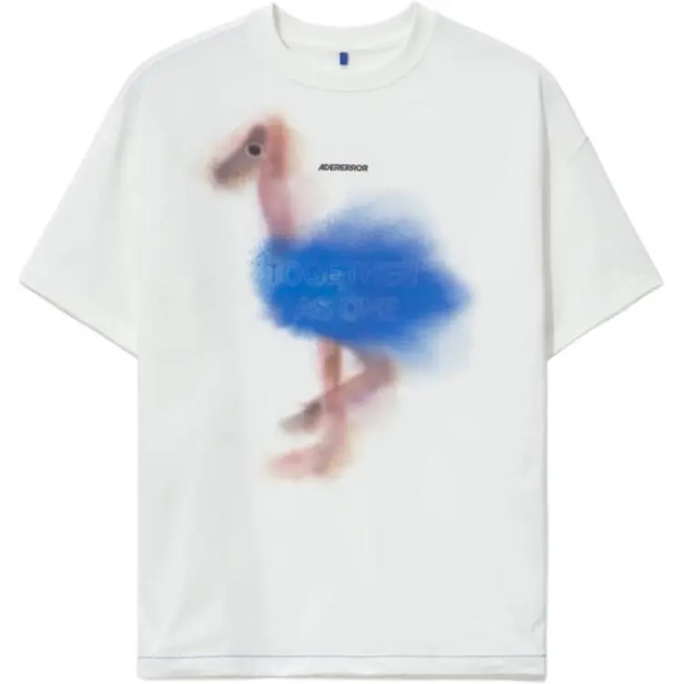 ADER ERROR Graphic print T shirt