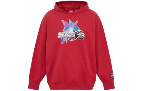 Levis x Gundam Seed graphic hoodie