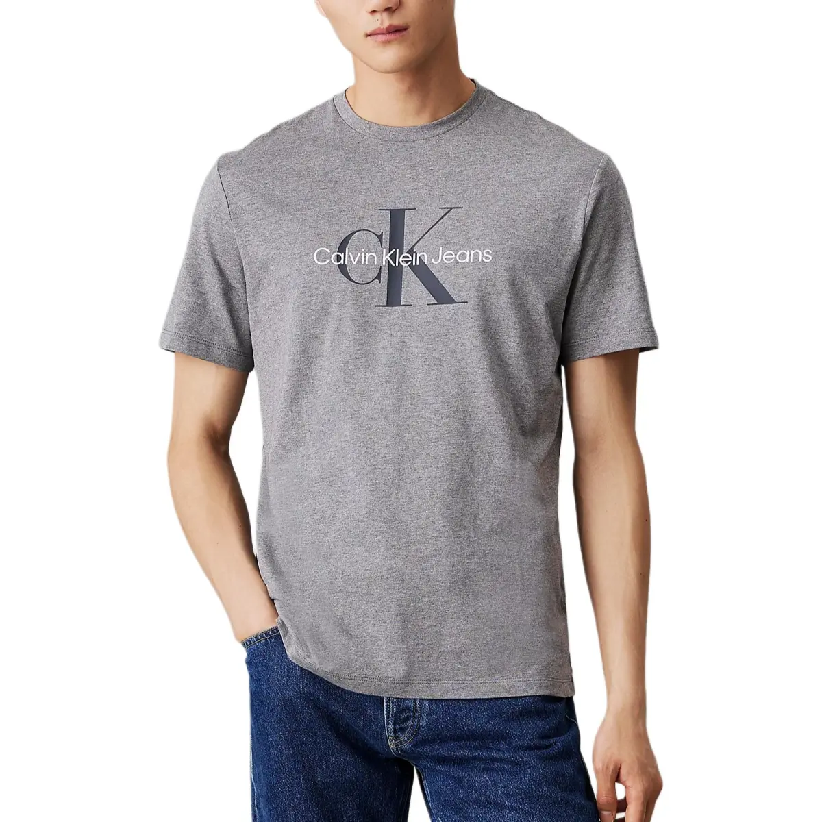 CALVIN KLEIN T Shirt Europe Version Men's Medium Gray Mixed Color