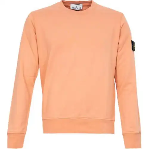 STONE ISLAND Logo Patch Crewneck Sweatshirt
