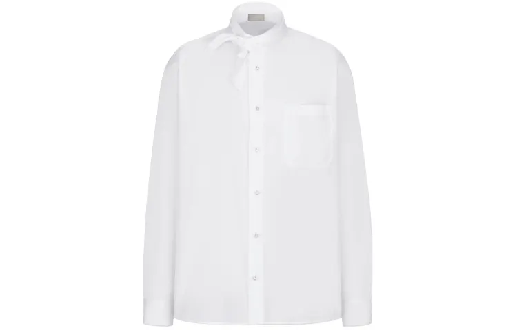 DIOR Quarterly New Products Shirts Men's White Stand Collar Moderate Other
