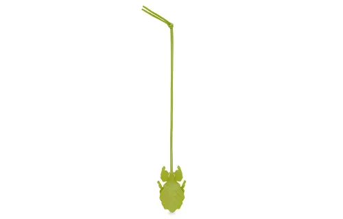 Loewe Leaf Insect Charm Keyring