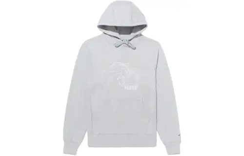 PUMA x NOAH Sweatshirt Unisex Gray