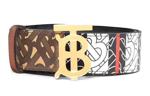 Burberry Leather Canvas Leather Belts Women's Saddles Brown Width 3.5cm
