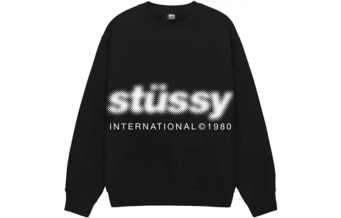 Stussy Blur Crew