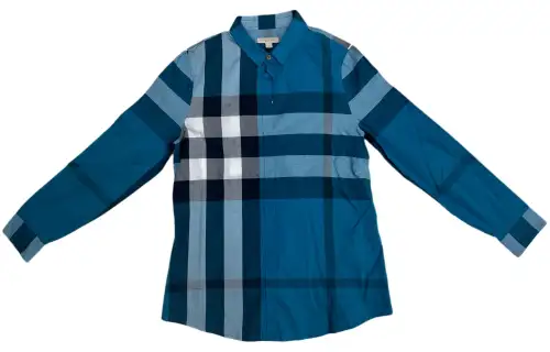 Burberry Shirts Men's Blue Lapel Moderate Other